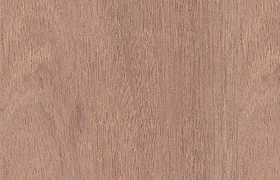 Sapele Sample